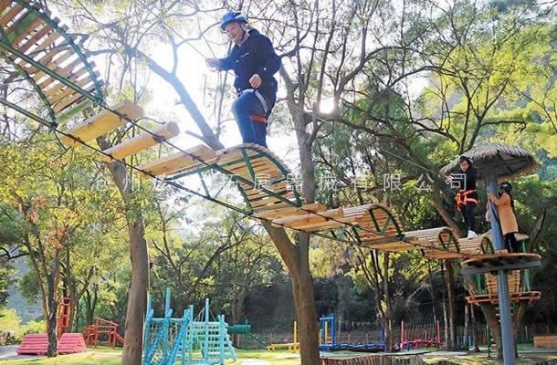 树上线上买球官网（中国）官方网站_线上买球官网（中国）官方网站设备
