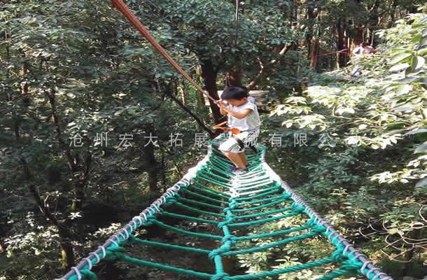 树上线上买球官网（中国）官方网站_线上买球官网（中国）官方网站设备