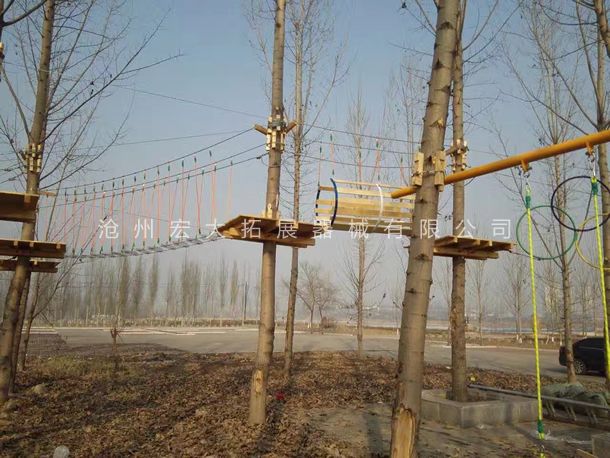 树上探险设备  丛林穿越  丛林探险乐园