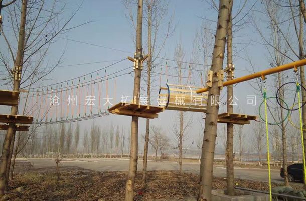 山东省枣庄丛林探险器材，树上线上买球官网（中国）官方网站_线上买球官网（中国）官方网站探险设备安装完工