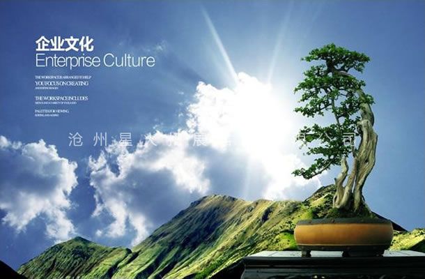 发展观-线上买球官网（中国）官方网站-线上买球官网（中国）官方网站_线上买球官网（中国）官方网站
