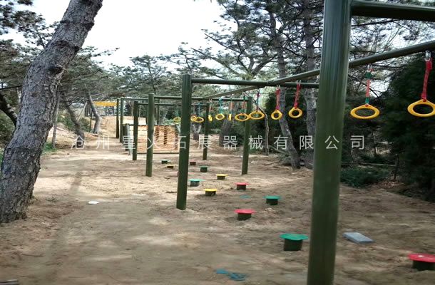 青少年障碍赛B-线上买球官网（中国）官方网站_线上买球官网（中国）官方网站器材生产厂家-场地线上买球官网（中国）官方网站_线上买球官网（中国）官方网站器械