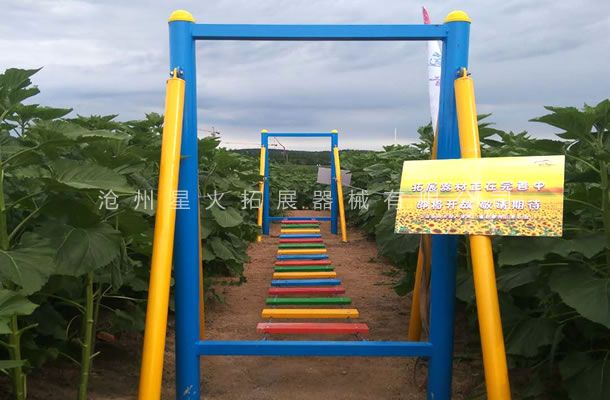 青少年线上买球官网(中国)官方网站_线上买球官网(中国)官方网站训练器材