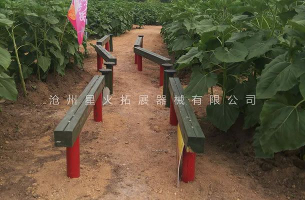 青少年线上买球官网（中国）官方网站_线上买球官网（中国）官方网站器材