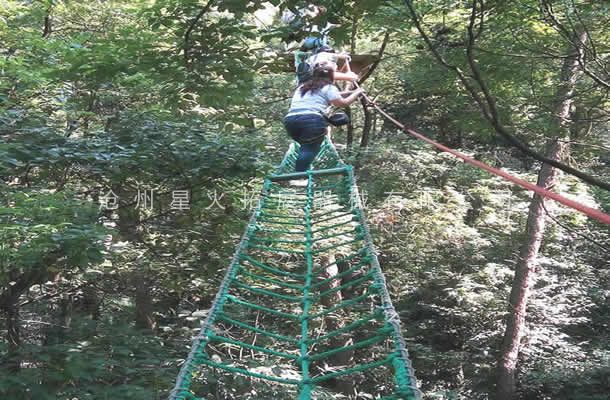 树上线上买球官网（中国）官方网站_线上买球官网（中国）官方网站设备