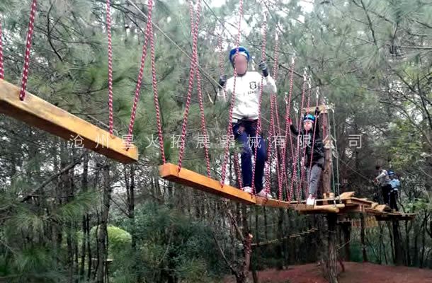 树上线上买球官网（中国）官方网站_线上买球官网（中国）官方网站设备