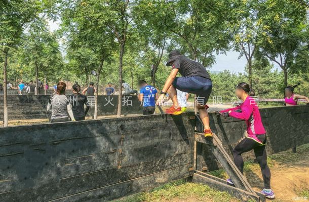 斯巴达勇士赛训练设备